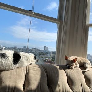 Meet your Posher, Michael